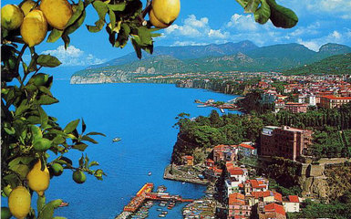Olio Sorrentino e Limoncello IGP Olio Sorrentino e Limoncello IGP