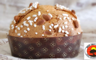Panettoni solidali - artigianali 2018 Panettoni solidali - artigianali 2018