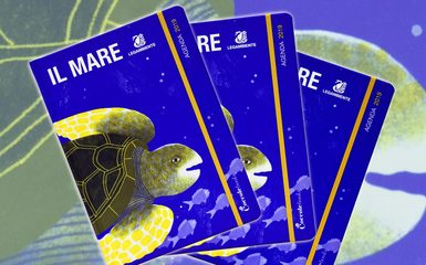 La nuova agenda di Legambiente: aiutiamo le tartarughe marine! La nuova agenda di Legambiente: aiutiamo le tartarughe marine!