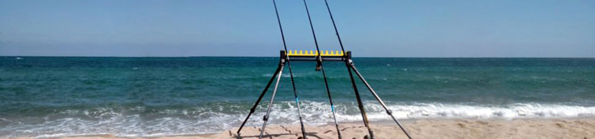 Banner canne in pesca