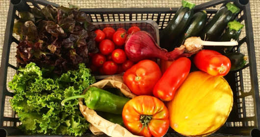 Al Green Life Frutta e Verdura Biologica ogni giovedì Al Green Life Frutta e Verdura Biologica ogni giovedì