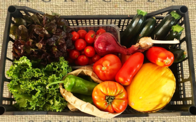 Al Green Life Frutta e Verdura Biologica ogni giovedì Al Green Life Frutta e Verdura Biologica ogni giovedì