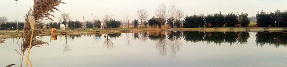 Banner 180... 7 carpa