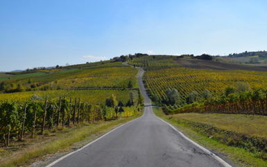 I colori dell'Autunno con Merenda in Cantina I colori dell'Autunno con Merenda in Cantina