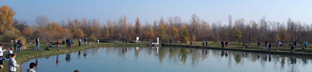 Banner laghi cronovilla 38