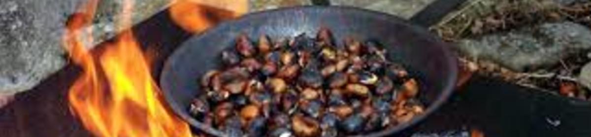 Banner images 1