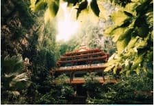 foresta Malesia | Crédit Agricole foresta Malesia | Crédit Agricole