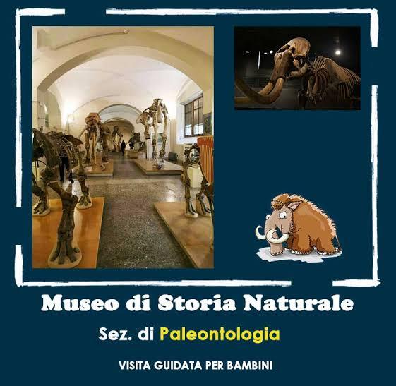 animali della preistoria | Crédit Agricole animali della preistoria | Crédit Agricole