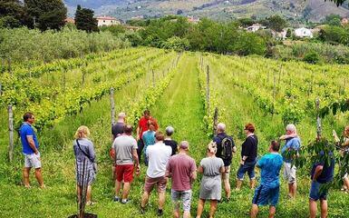 vigna | Crédit Agricole vigna | Crédit Agricole