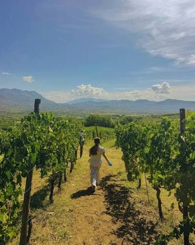 tenuta selvanova | Crédit Agricole tenuta selvanova | Crédit Agricole