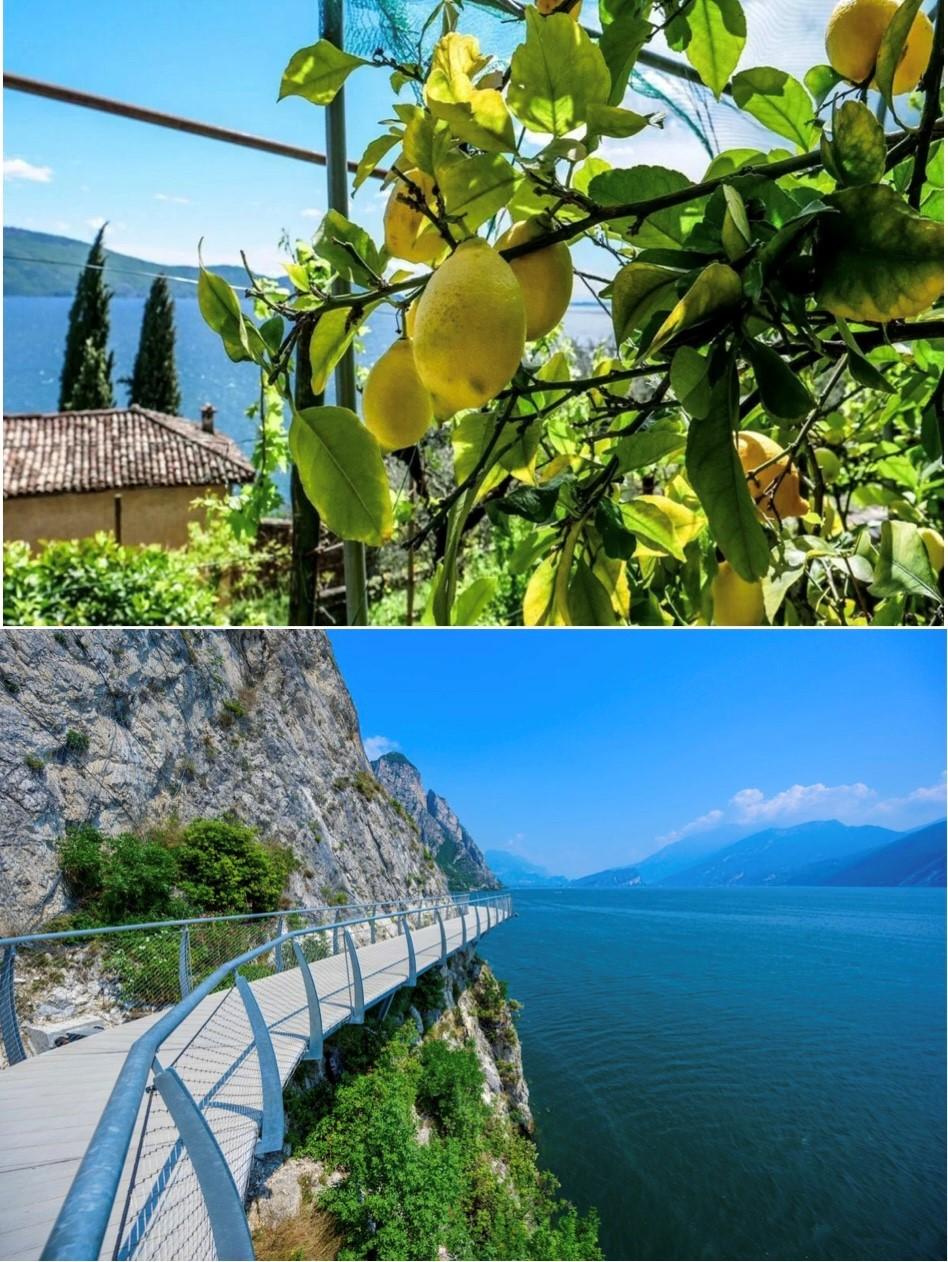 Foto Limone sul Garda | Crédit Agricole Foto Limone sul Garda | Crédit Agricole