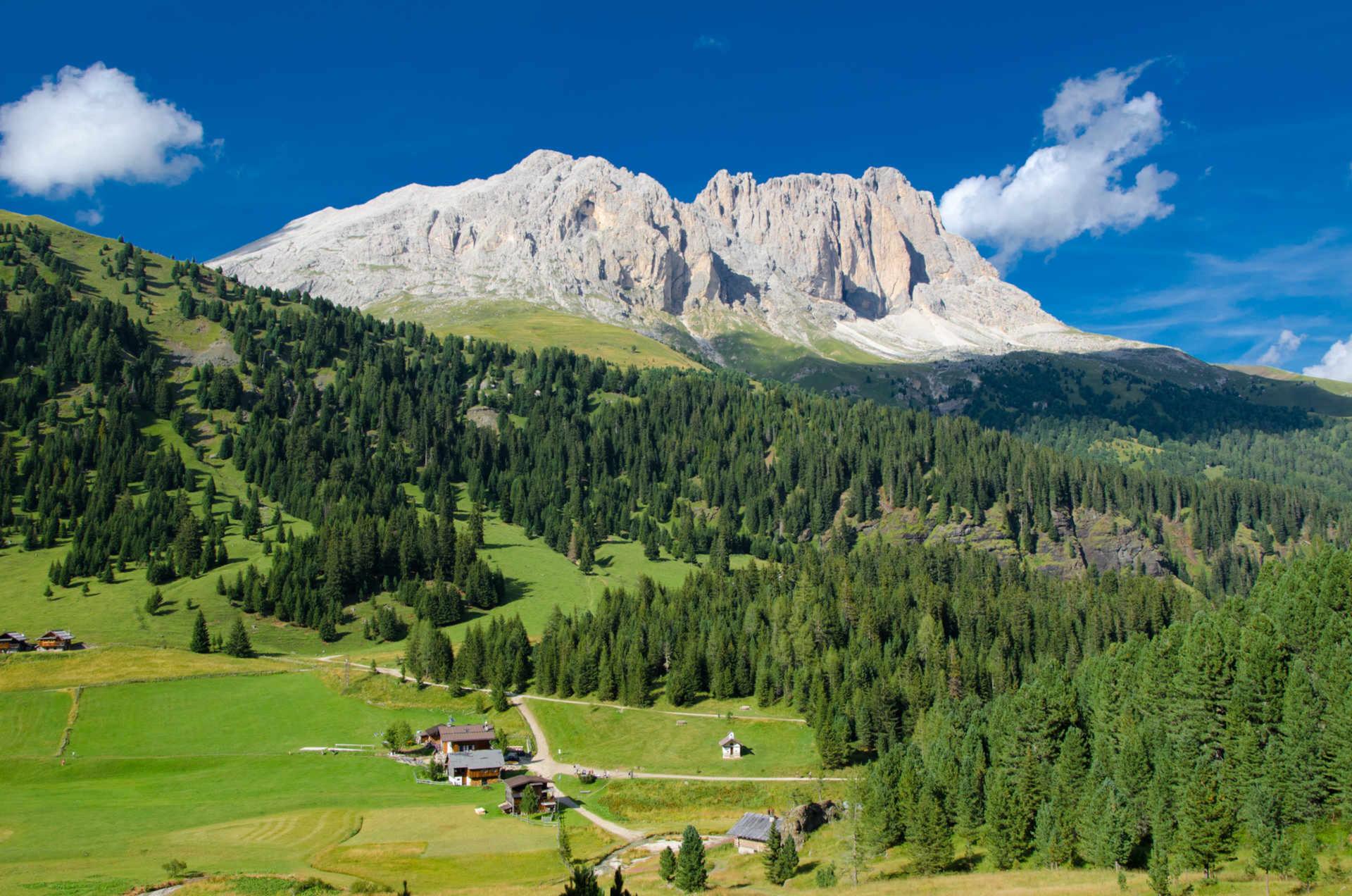 campitello estate | Crédit Agricole campitello estate | Crédit Agricole