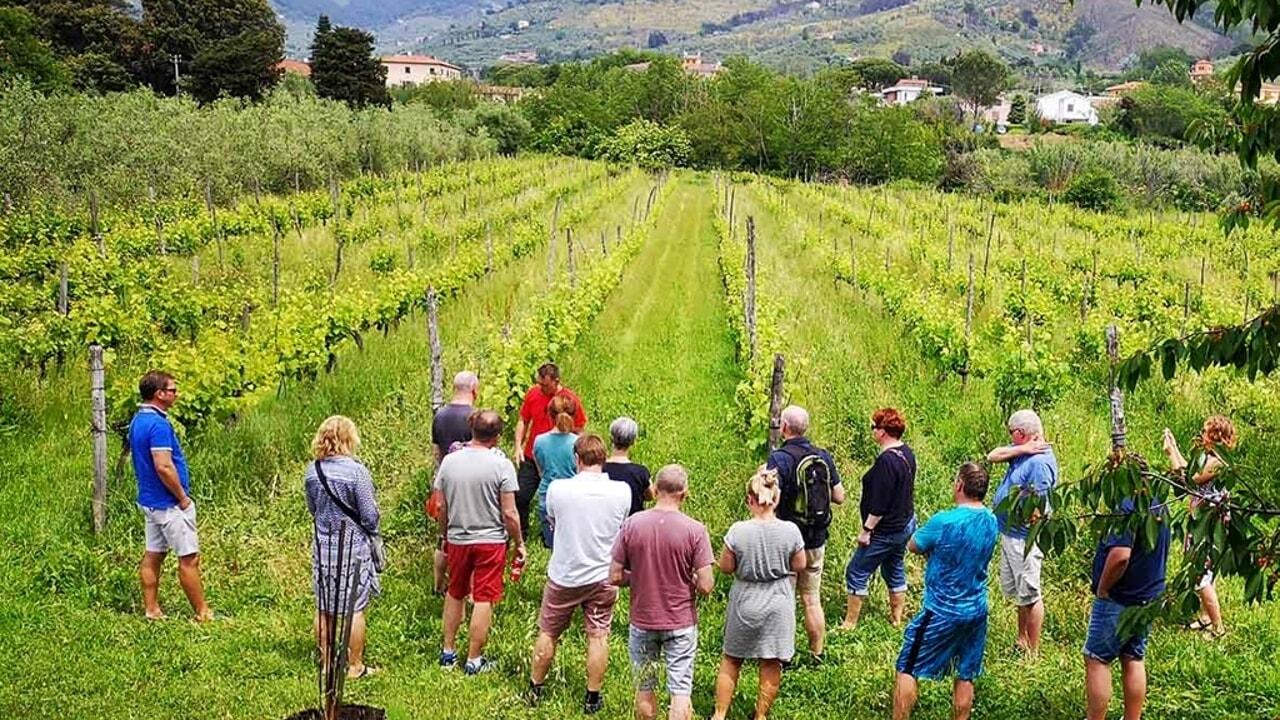 giornata di primavera in vigna | Crédit Agricole giornata di primavera in vigna | Crédit Agricole
