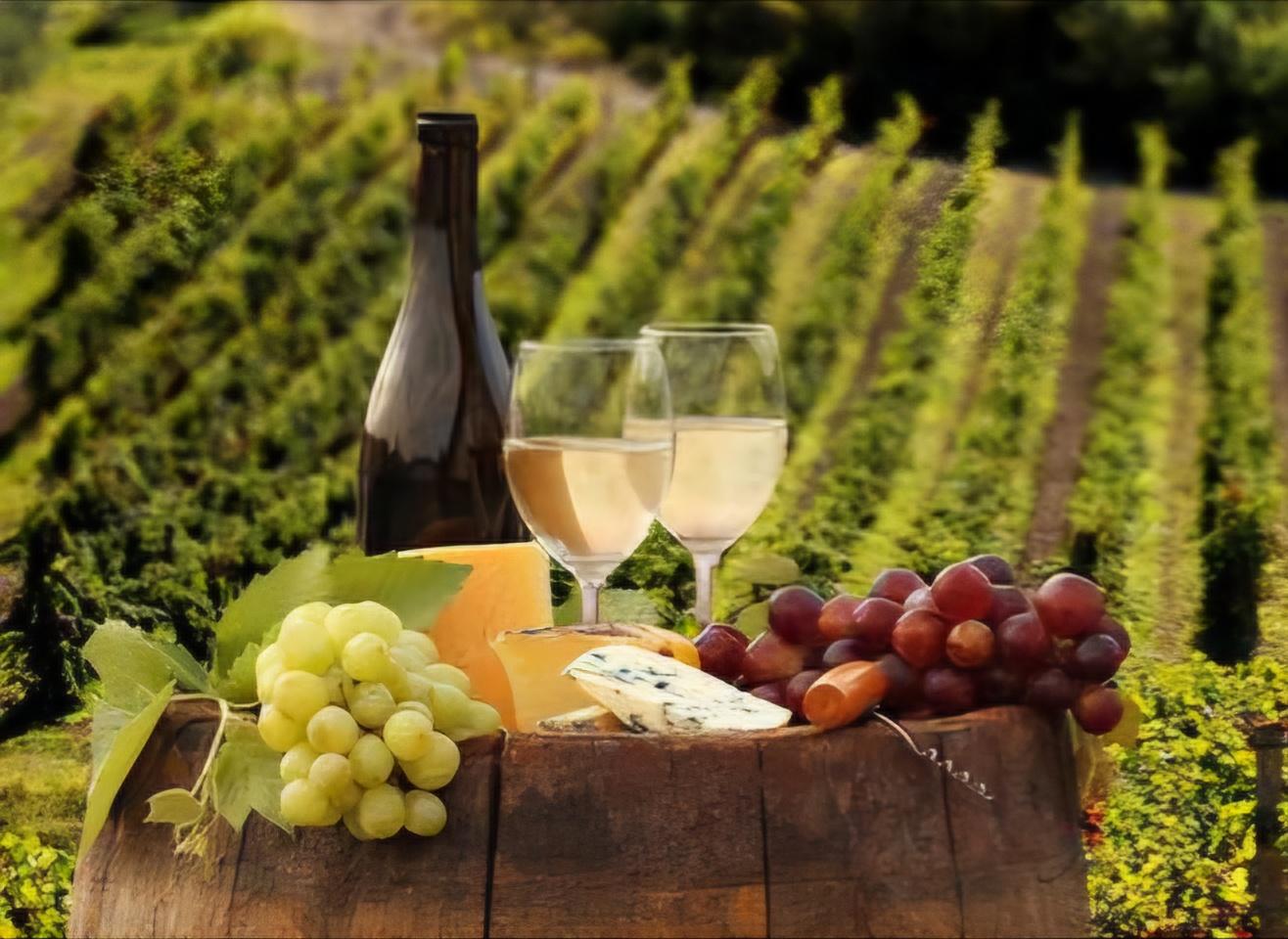 Visita guidata Cantina Gambino | Crédit Agricole Visita guidata Cantina Gambino | Crédit Agricole