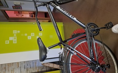 City bike uomo City bike uomo