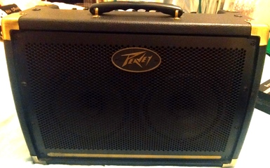 Amplificatore Peavey Ecoustic 208
