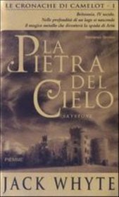 Book la pietra del cielo