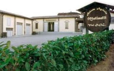 Offerta Vini DOC Colli Piacentini - Bottiglie Offerta Vini DOC Colli Piacentini - Bottiglie