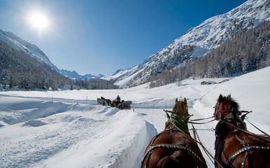 Trenino Rosso del Bernina e val Roseg Trenino Rosso del Bernina e val Roseg