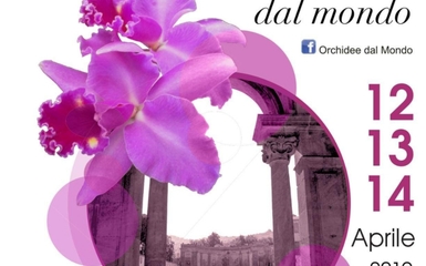 Orchidee dal mondo Orchidee dal mondo