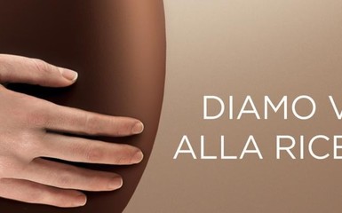 ParmAIL - ricerca per la lotta alle leucemie ParmAIL - ricerca per la lotta alle leucemie