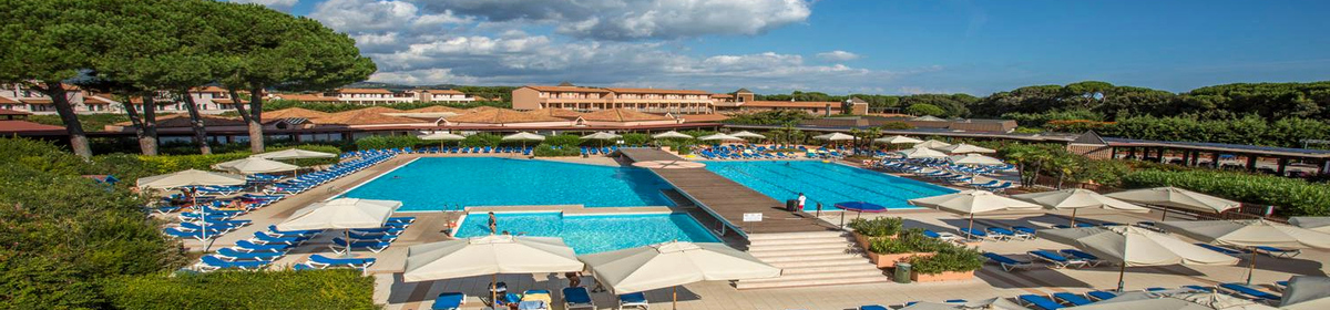 Banner san vincenzo