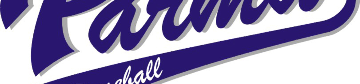 Banner parma baseball logo