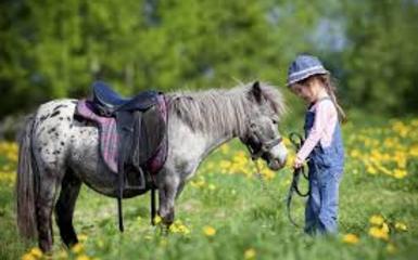 "Festa di Fine Estate": Equitazione "Festa di Fine Estate": Equitazione