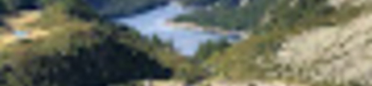 Banner alpedevero