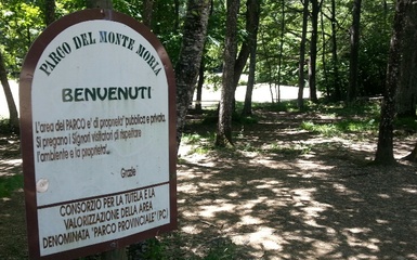 Natura e Giochi al Parco Provinciale di Monte Moria Natura e Giochi al Parco Provinciale di Monte Moria