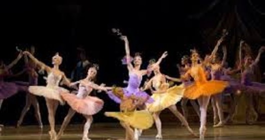 Teatro Municipale Piacenza - Danza 2019/20 Teatro Municipale Piacenza - Danza 2019/20