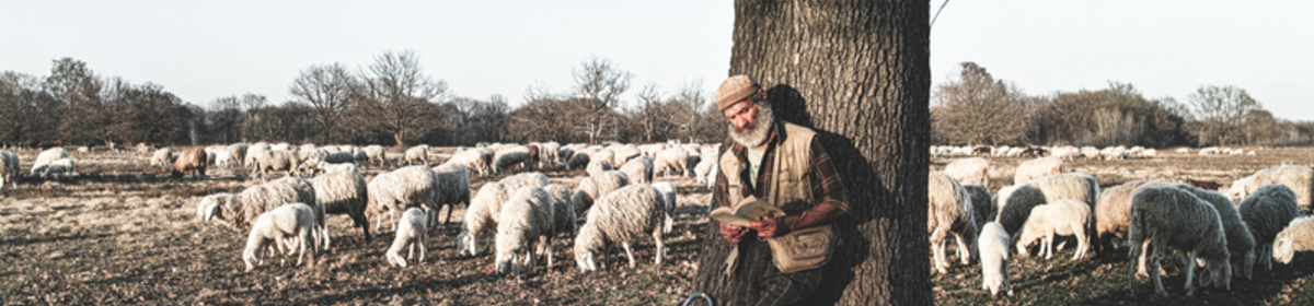 Banner sdim0397