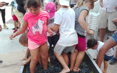 Festa a Piozzano (PC) con prove di pigiatura riservate ai bambini Festa a Piozzano (PC) con prove di pigiatura riservate ai bambini