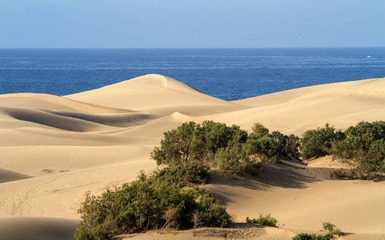 Canarie - Le vette di La Palma e le dune di Fuerteventura Canarie - Le vette di La Palma e le dune di Fuerteventura