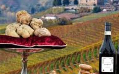 Alba e la sagra del tartufo Alba e la sagra del tartufo