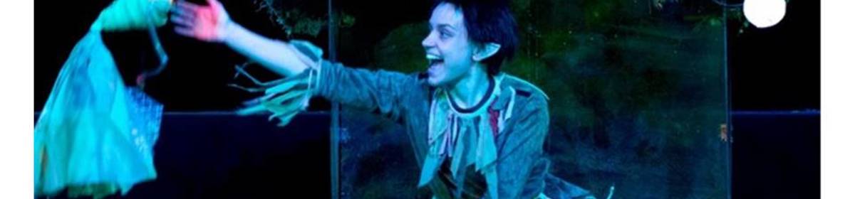 Banner immagine attore peter pan