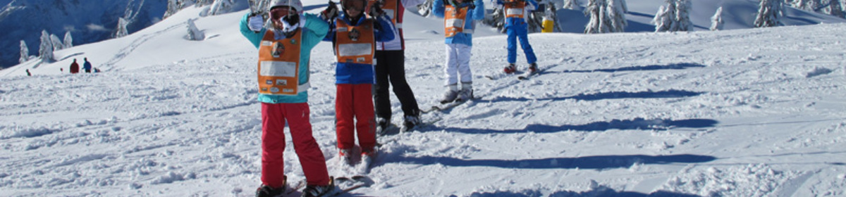 Banner andalo sci bambini