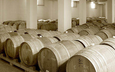 Enoteca il Capolavoro Divino: acquista i suoi prodotti Enoteca il Capolavoro Divino: acquista i suoi prodotti