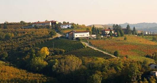 Alba - Camminata mangereccia di vigna in vigna Alba - Camminata mangereccia di vigna in vigna