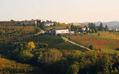 Alba - Camminata mangereccia di vigna in vigna Alba - Camminata mangereccia di vigna in vigna