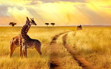Sudafrica Gran Tour Sudafrica Gran Tour