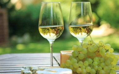 Offerta Vini DOC Val Chiavenna-Colli Piacentini Offerta Vini DOC Val Chiavenna-Colli Piacentini