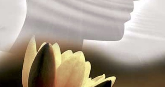 Mindfulness Vivere con consapevolezza - on-line Mindfulness Vivere con consapevolezza - on-line
