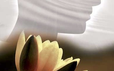 Mindfulness Vivere con consapevolezza - on-line Mindfulness Vivere con consapevolezza - on-line