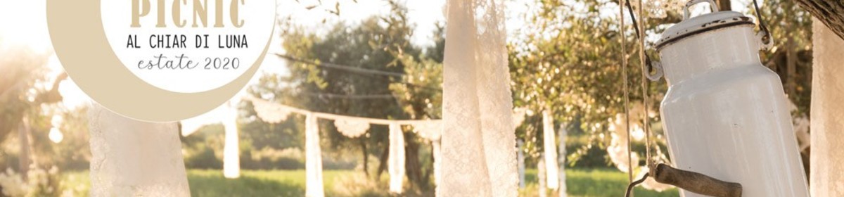 Banner picnic al chiar di luna