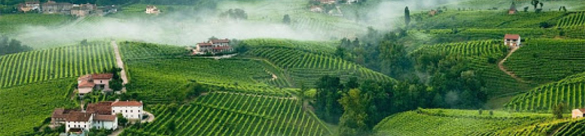 Banner unnamed