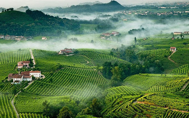Anello del prosecco superiore - Valdobbiadene - trekking enogastronomico Anello del prosecco superiore - Valdobbiadene - trekking enogastronomico