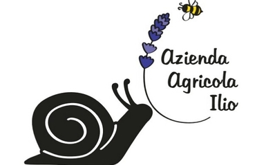 Azienda agricola ILIO di Odorizzi Cinzia