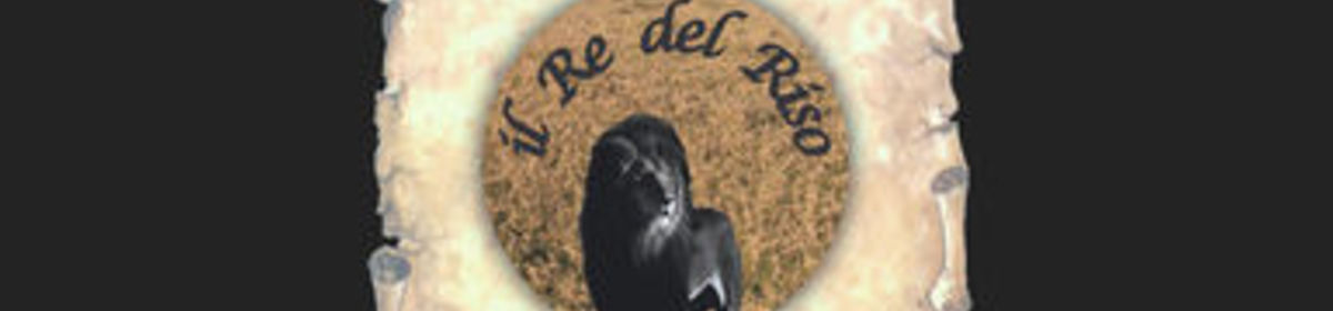 Banner il re del riso