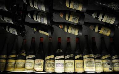 #stappatoacasa - Romagna da bere: degustazione di eccellenze vinicole a distanza #stappatoacasa - Romagna da bere: degustazione di eccellenze vinicole a distanza